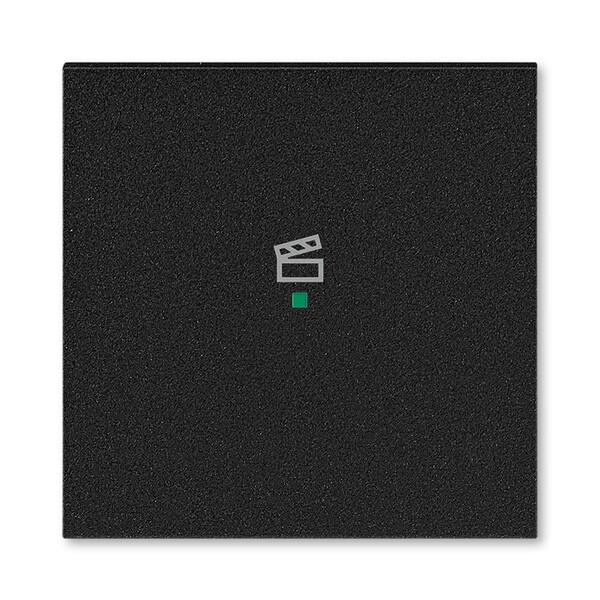 ABB Levit Антрацит Клавиша 1-ая с символом сцены free@home | 6220H-A01003 63 | 2CHH621003A4063 | ABB