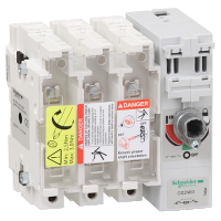 КОРП. ВКЛ-РАЗ-ПРЕДОХ. 3P.250A | GS2NB3 | Schneider Electric