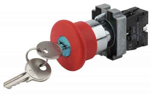 Кнопка управления LAY5-BS142 "Грибок"с ключом крас. d22мм 240В 1р (20/200/3200) | Б0045637 | ЭРА